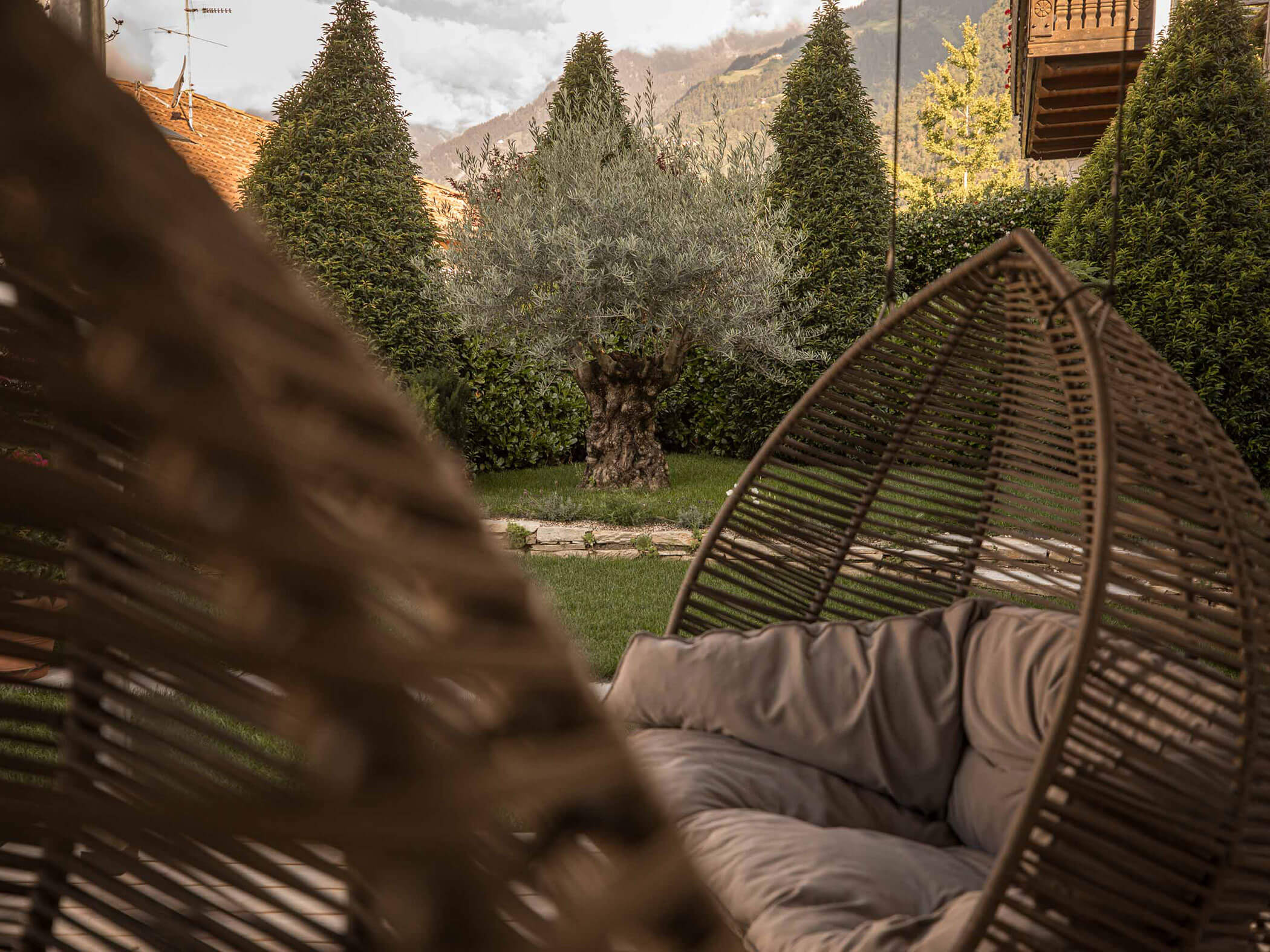 View from the hanging baskets to the meadow, the hedges and the olive tree - Hotel Patriarch