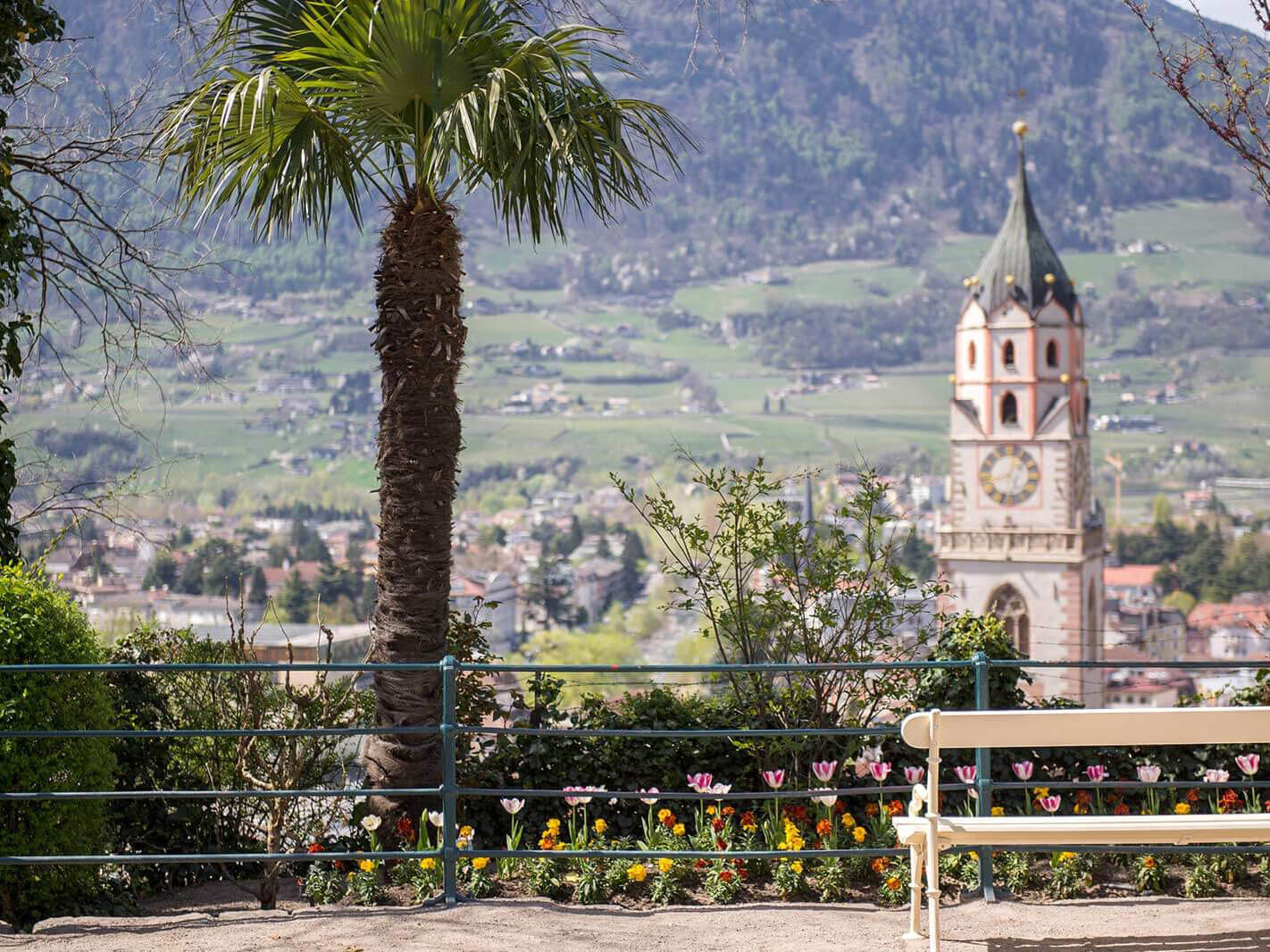 Eine weiße Bank, eine Palme und mehrere Blumen mit Blick auf den Kirchturm von Meran  - Hotel Patriarch