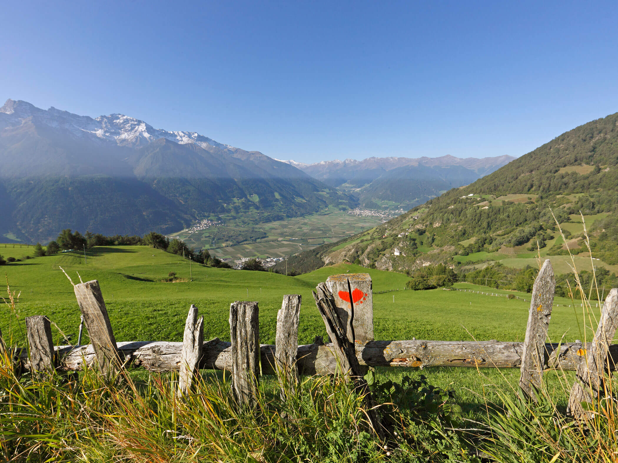 Ein Holzzaun trennt den Weg vom eingezäunten Feld - Hotel Patriarch